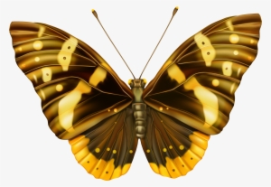 And Yellow Png Image Gallery Yopriceville View - Butterfly Clipart Images Png
