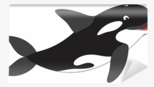 Killer Whale