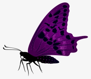 Large Purple Butterfly Png Clip Art Imageu200b Gallery