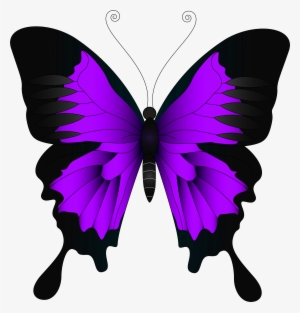 Purple Butterfly Png - Pink And Purple Butterfly