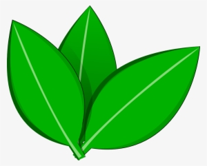 Lovely Design Ideas Cute Tree With Leaves And Pears - Transparent Leaf Vector Png