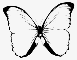 Butterfly Black And White Clip Art Png - Black And White Butterfly Png