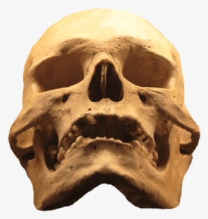 Cool Skull Clip Art - Evil Skull Png