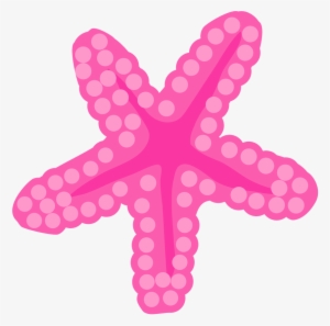 Safari C Pinterest - Estrella De Mar De La Sirenita