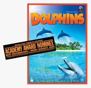 Dolphins Poster - Dolphins - (region 1 Import Dvd)