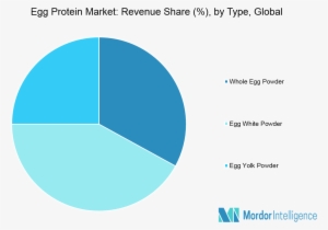 Egg Protein Market Segmentation - Monoclonal Antibody Market Region