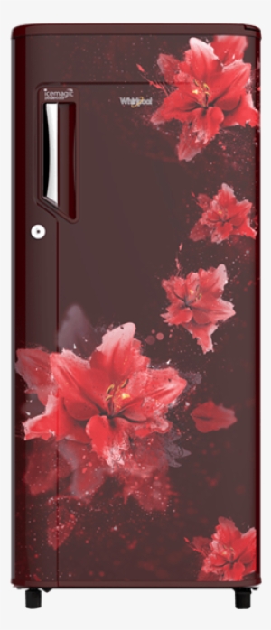 215 Impwcool Roy 4s Wine Splash