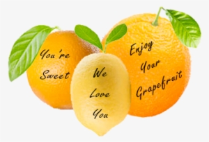 Messagefruit - Tangerine