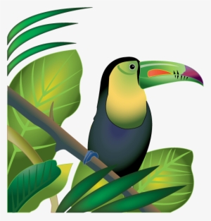 Free Jungle Animals Clipart - Tropical Rainforest Clipart