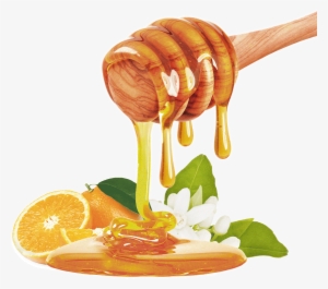 Thus, It Can Be Used To Elaborate Fruit Products, Yogurts, - Honey Dripping Down