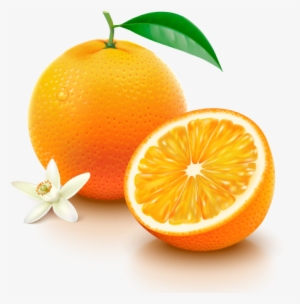Navel Oranges - Vitamina C Endovenosa
