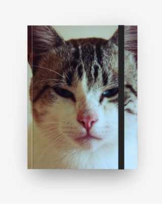 Caderno Happy Cat De Anelise Oliveirana - Domestic Short-haired Cat