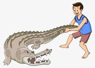 On Facebook Friday, South Carolina's Fripp Island Resort - Man Wrestling Alligator Cartoon