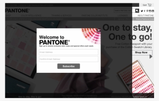 Website History - Paper Product