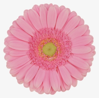 Florist Holland - Allah