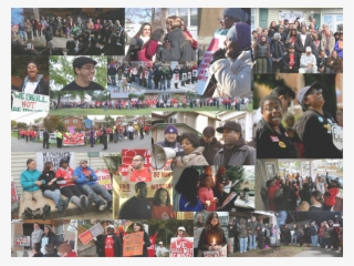Snol-collage - Audience