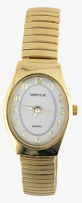 Ladies Oval Stretch Band Watches - Analog Watch