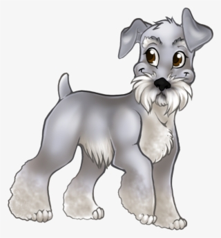Femaleprev1 - Standard Schnauzer