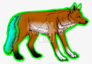 Details - Mackenzie River Husky