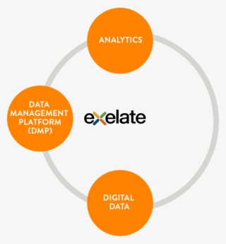 Integrating Nielsen Solutions Into A Cohesive Backbone - Circle