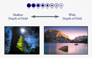 Three Things Affect Depth Of Field - Summit