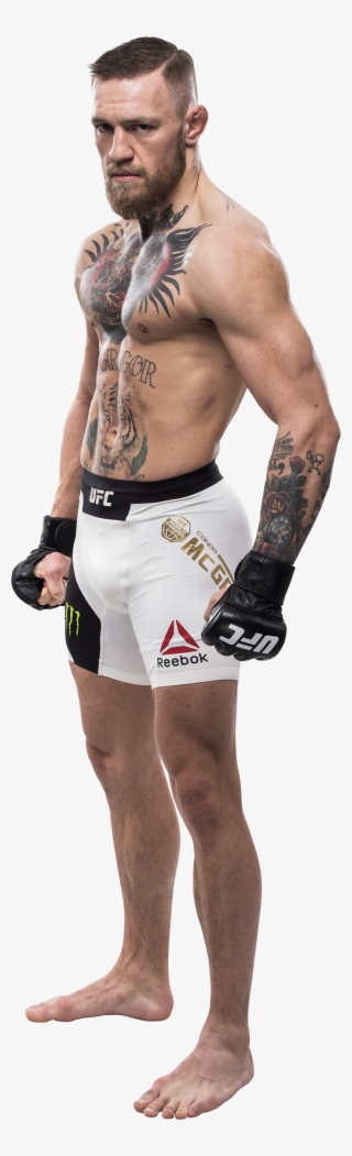 Ufc Fight Night - Conor Mcgregor Full Body
