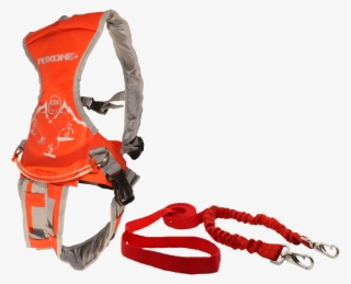 Ski Harness