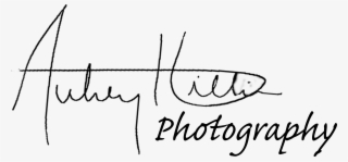Aubrey Hillier Photography - Line Art