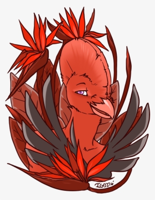 Bird Of Paradise - Illustration