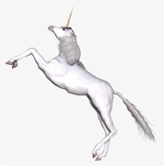 Full White Unicorn Prancing - Unicorn