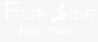 Flip Side Ninja Park