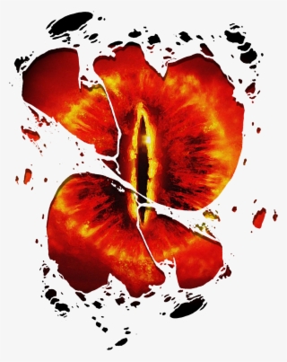 Oeil De Sauron - Illustration