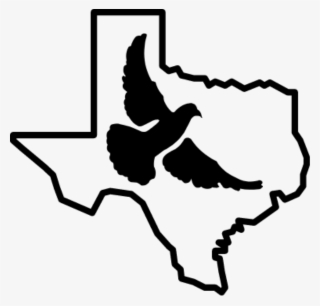 Breed Deer For Sale - Icons San Antonio