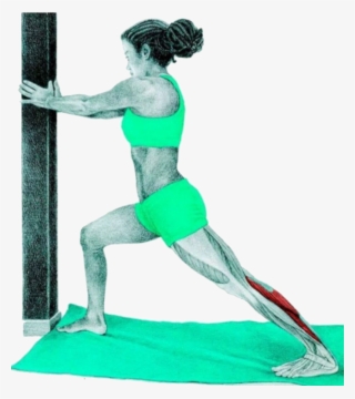 24 Myswimpro Stretch Standing Calf Stretch At The - Estiramiento De Triceps Sural