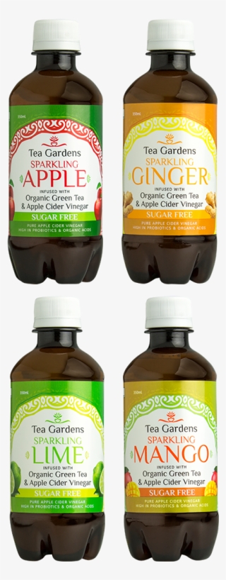 Sparkling Apple Cider - Plastic Bottle