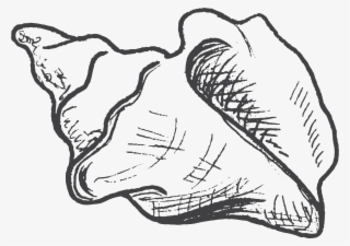 “each Trip Is A One Of A Kind And Yesterdays Excursion - Sketch