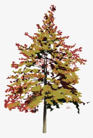 These Images Were Part Of A Project Done For The Delaware - Christmas Tree