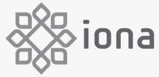 Paragon Care Brand Logo Iona Medical V2 - Black-and-white