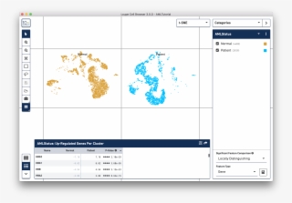 Chromium Single Cell Gene Expression - Loupe Cell Browser Combine Two Groups