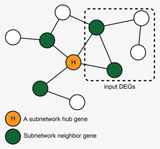 This Option Allows To Use Differentially Expressed - Diagram