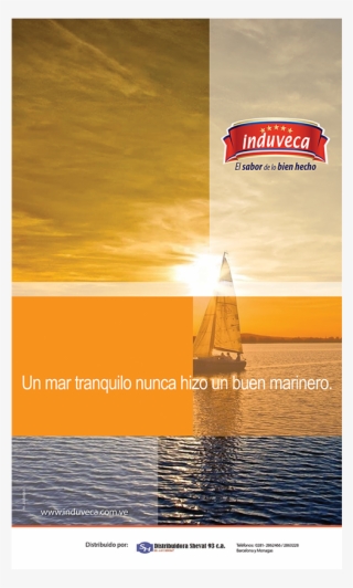 Pendón Induveca - Flyer