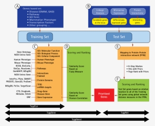Scoring And Ranking Of Test Set Genes Based On Relative - Toppgene