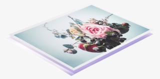 C-type Professional Photographic Print - Garden Roses