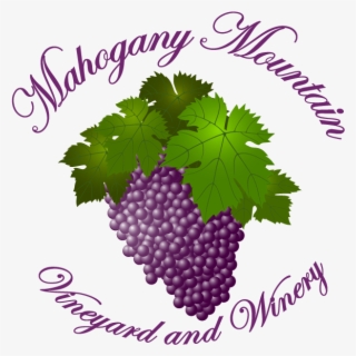 Mahogany Mountain Vineyard And Winery - Seedless Fruit