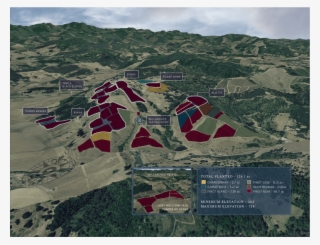 Aspect, Elevation, Slope And Vine Selection Enable - Aerial Photography