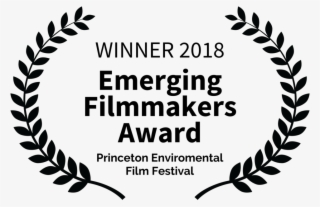 Emerging Filmmakers Award - Film Festival