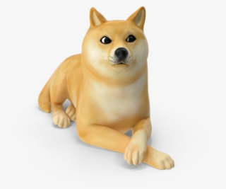 The World Through Animal - Shiba Inu