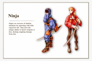 Ninja Fft