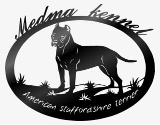 Medma Kennel - Dogo Argentino
