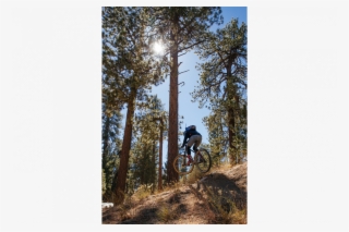 Baby Got Back - Downhill Mountain Biking